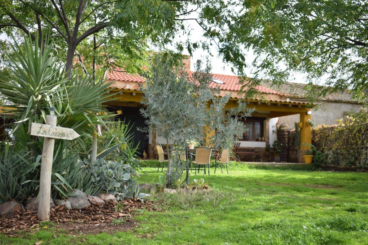 Casa Rural La Coscoja Μέριδα Εξωτερικό φωτογραφία