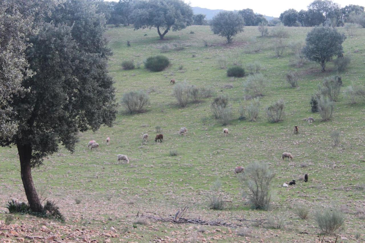 Casa Rural La Coscoja Μέριδα Εξωτερικό φωτογραφία